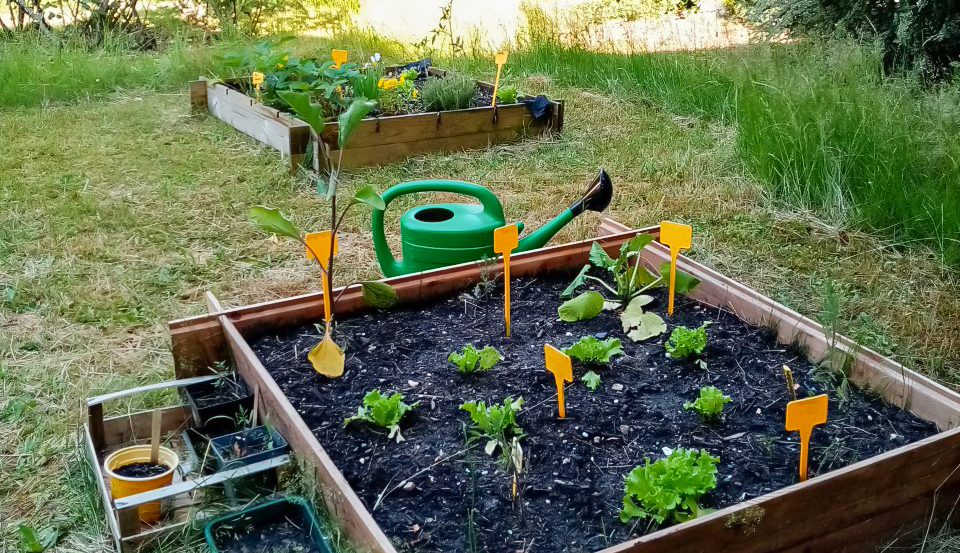 Un carré potager collaboratif dans le jardin des Papillons Blancs 76