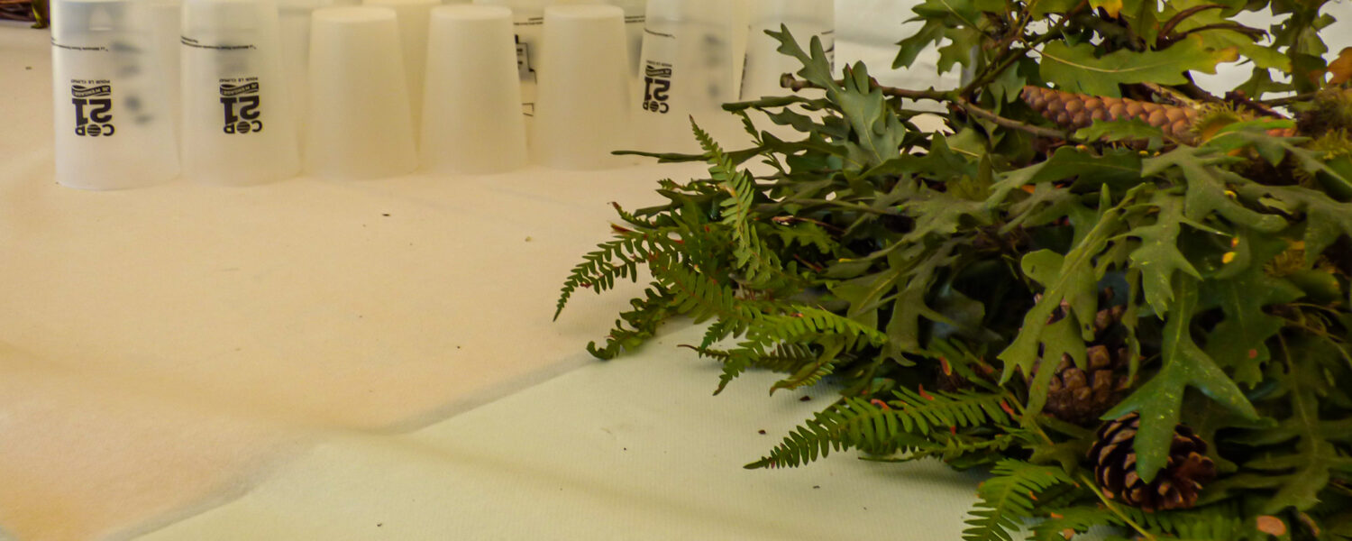 ©PapillonsBlancs76 (2) ©PapillonsBlancs76 (2)