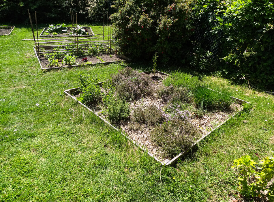 &reg;PapillonsBlancs76 - Parterre