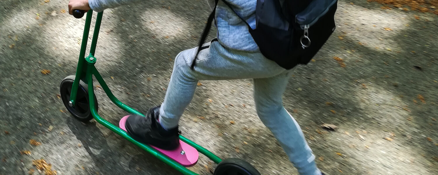 parc des Bruy&egrave;res