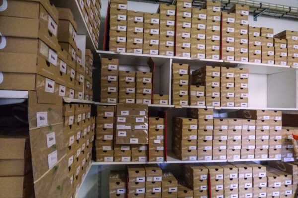 &copy;PapillonsBlancs76-Envois Chatelles