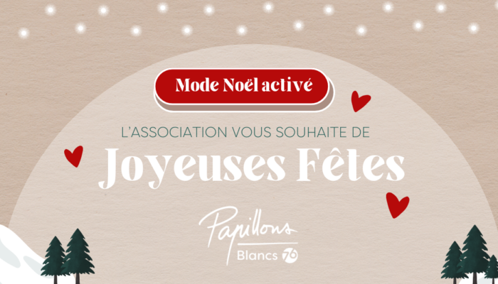 Banni&egrave;re no&euml;l